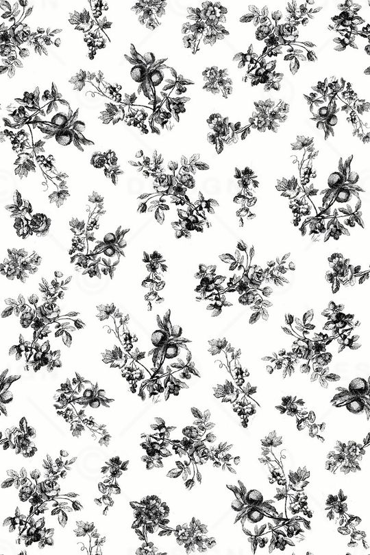 流行时尚 复古 黑白花草会  花卉 花枝  果实服装 家纺 箱包印花华亿平台图片