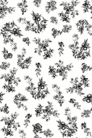 流行时尚 复古 黑白花草会  花卉 花枝  果实服装 家纺 箱包印花华亿平台图片