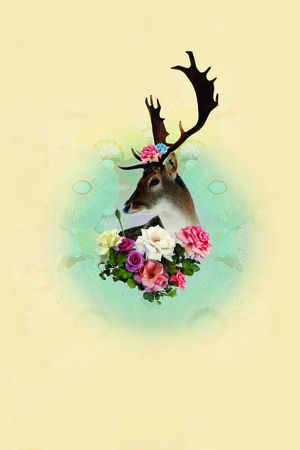 动物印花华亿平台图片