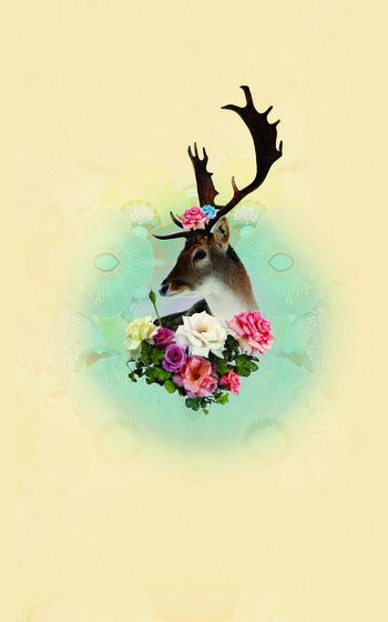 动物印花华亿平台图片