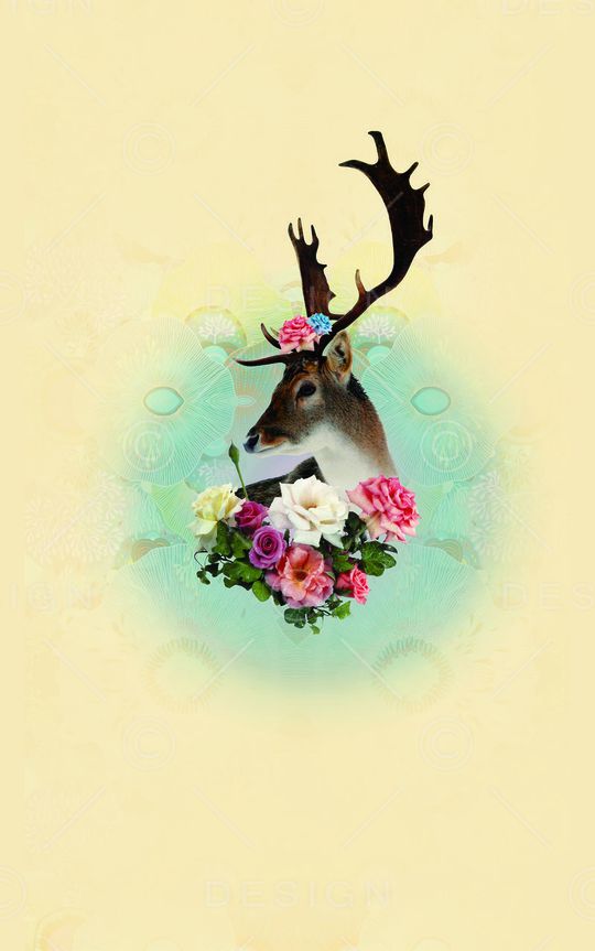 动物印花华亿平台图片