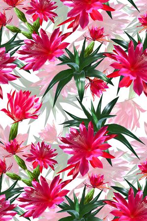 最新流行印花华亿平台图片