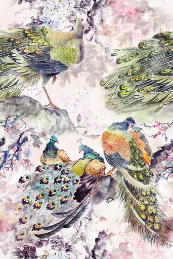 560812-复古中国风孔雀花卉吉祥如意旗袍等