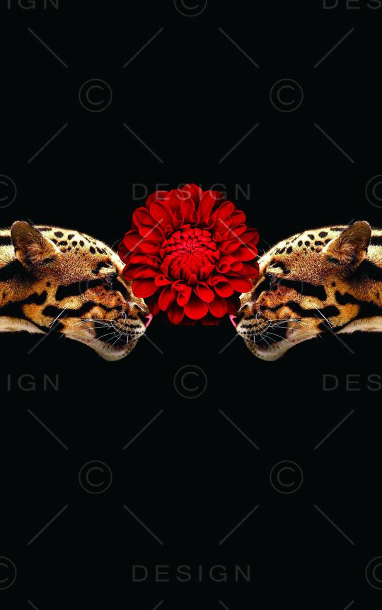 老虎印花华亿平台图片