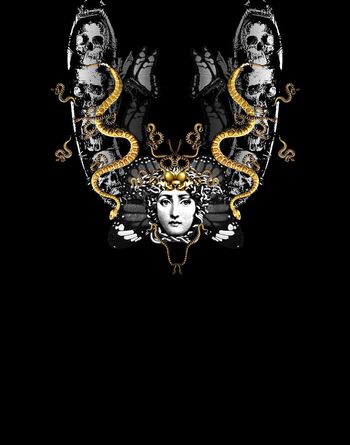 560839-复古骷髅头蛇人物头像定位男装图案