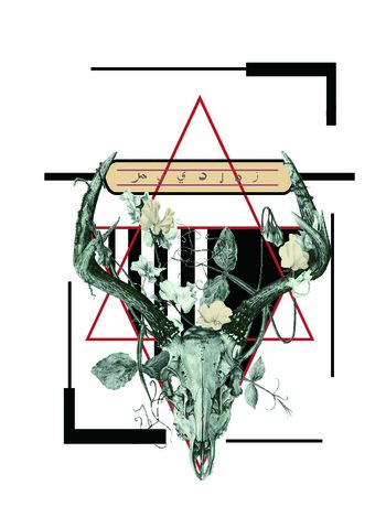 动物印花华亿平台图片