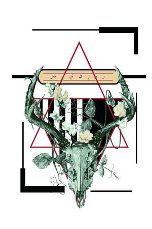 动物印花华亿平台图片