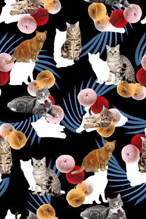 动物印花华亿平台图片