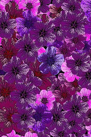 桃花印花华亿平台图片