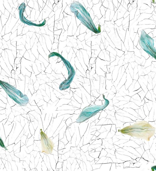 裂纹印花华亿平台图片