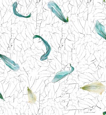 裂纹印花华亿平台图片