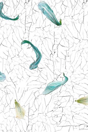 裂纹印花华亿平台图片