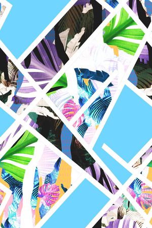 MAX-热带风情印花华亿平台图片