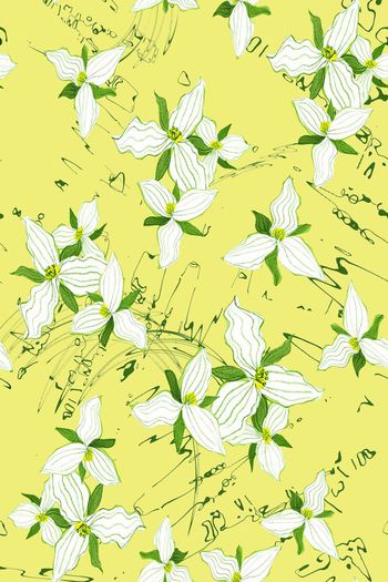 561462-时尚大牌简约花卉