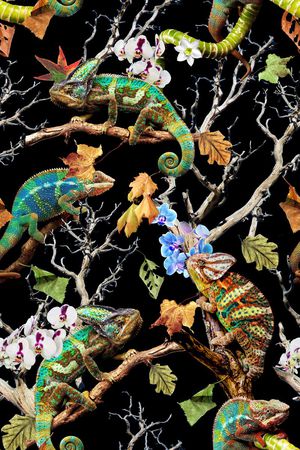 时尚印花华亿平台图片