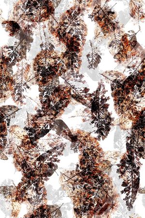 原创印花华亿平台图片