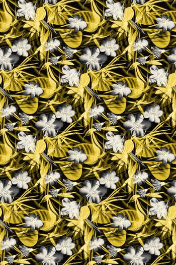 561660-水彩 花叶  服装 华亿平台