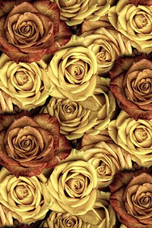 玫瑰印花华亿平台图片