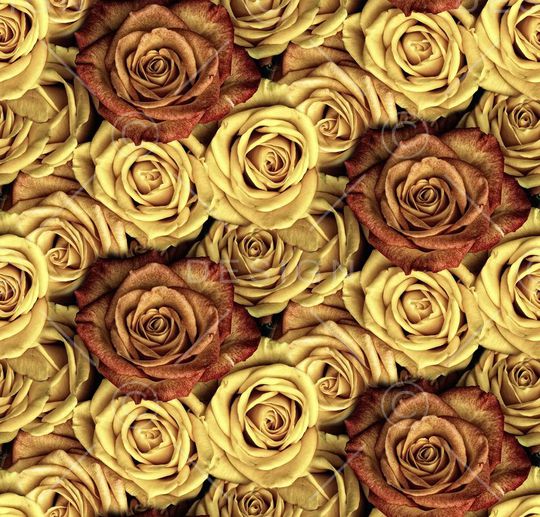 玫瑰印花华亿平台图片