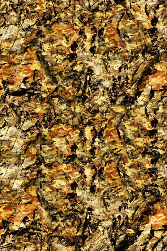 时尚 流行印花华亿平台图片