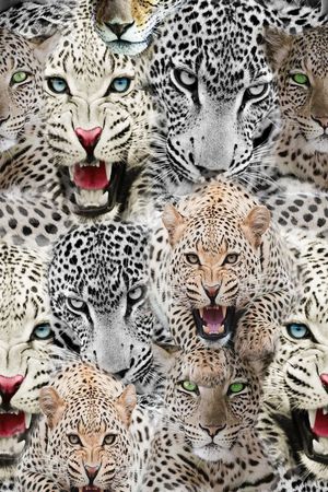 女装 毛绒 灯芯绒印花华亿平台图片