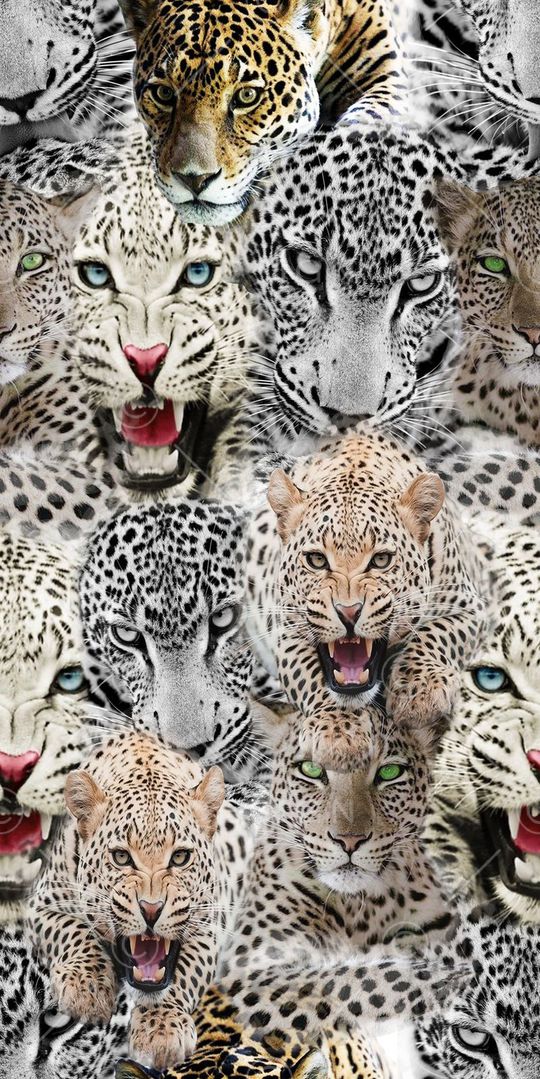 女装 毛绒 灯芯绒印花华亿平台图片