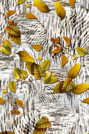 斑马印花华亿平台图片