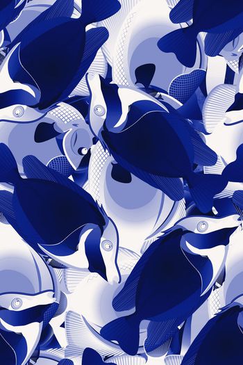 561800-海洋生物海鱼热带风情