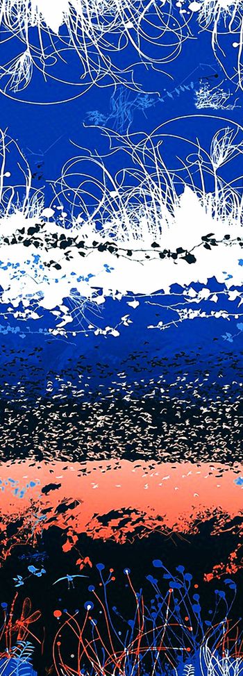 561820-风景定位花