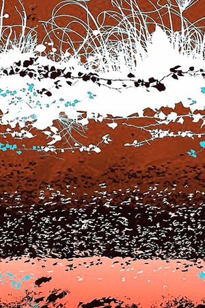 风景写实花印花华亿平台图片