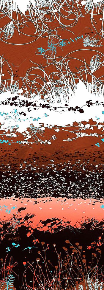 561821-风景定位花