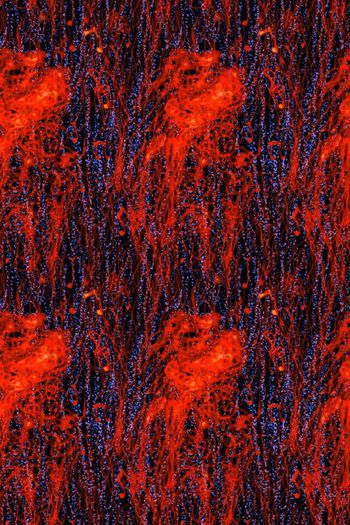 561839-cp原创抽象线条肌理