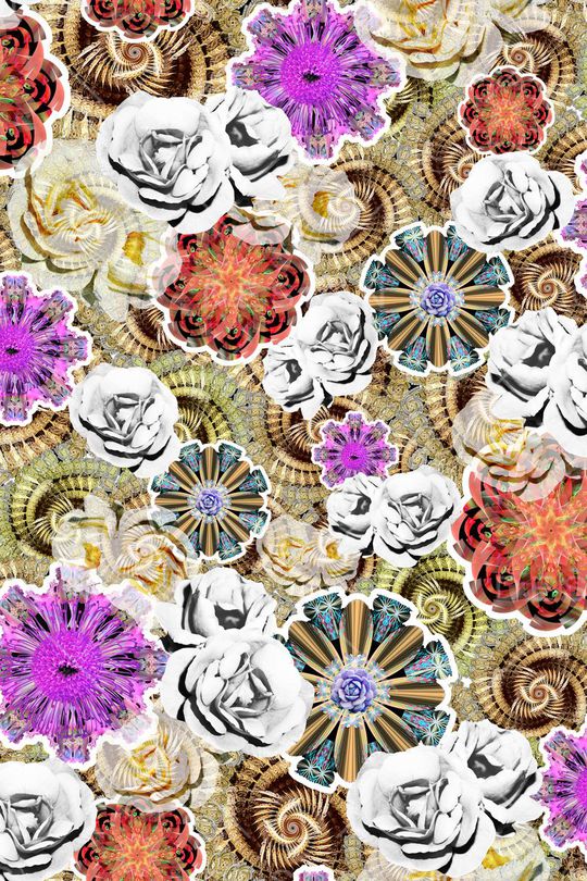 女装印花华亿平台图片