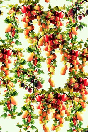 简约 清新印花华亿平台图片