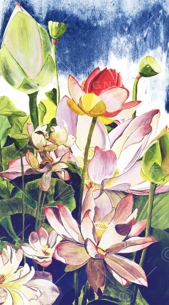 创意印花华亿平台图片