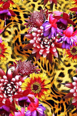 豹纹印花华亿平台图片