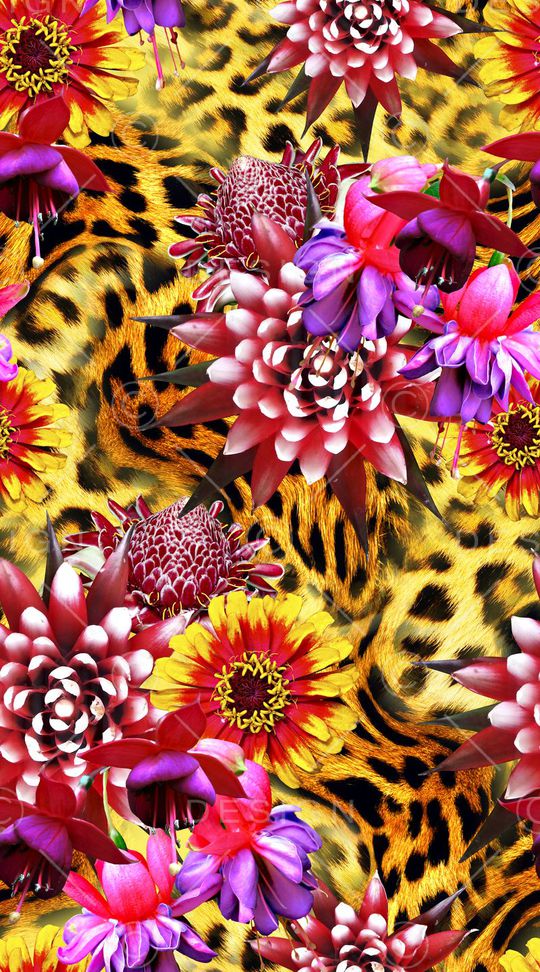 豹纹印花华亿平台图片