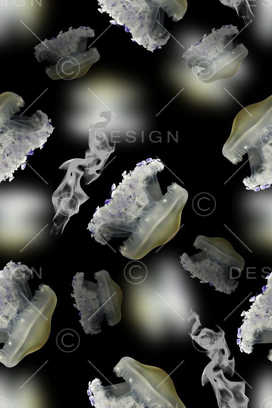 黑白阴阳印花华亿平台图片