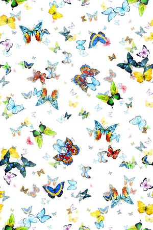 蝴蝶印花华亿平台图片