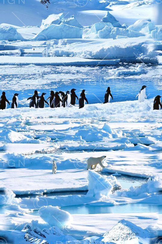 时尚印花华亿平台图片