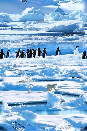时尚印花华亿平台图片