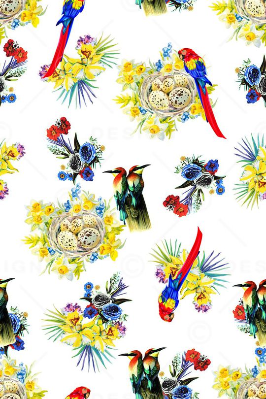 金刚鹦鹉印花华亿平台图片