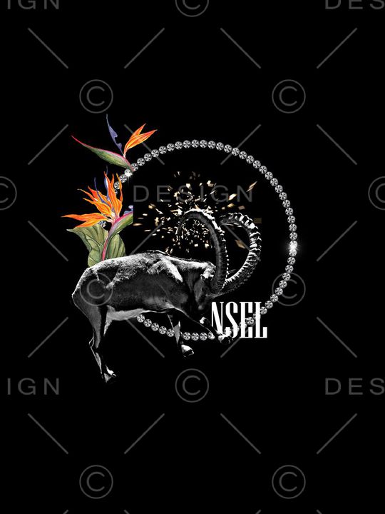 天堂鸟印花华亿平台图片