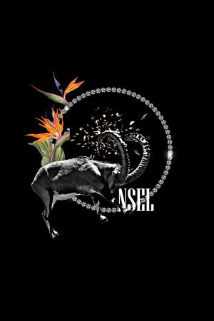 天堂鸟印花华亿平台图片