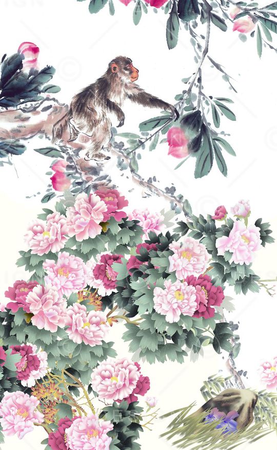 2016女装印花华亿平台图片