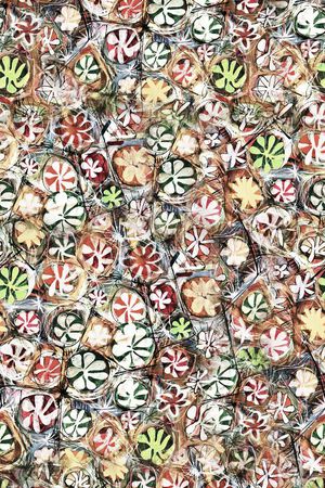 潮流印花华亿平台图片