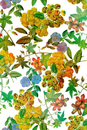 服装印花华亿平台图片