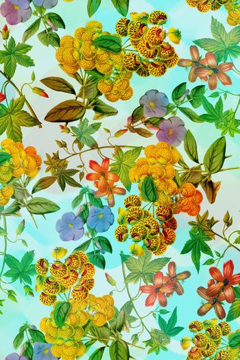 562647- 复古 花卉 组合 服装 家纺 花