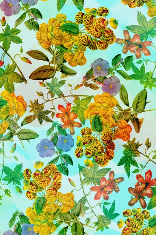 服装印花华亿平台图片