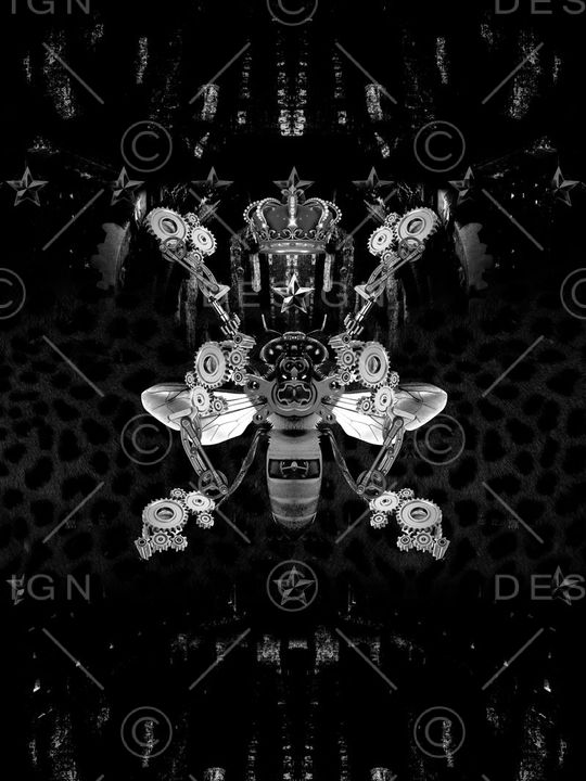 Dolce&Gabbana印花华亿平台图片